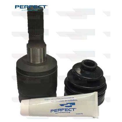 Tulipa Completa - Perfect - TLP0308 - (1)