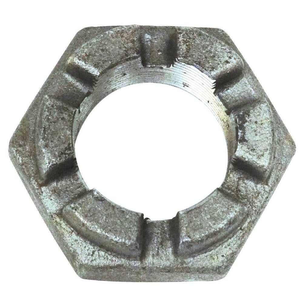 PORCA IMA - AL-311